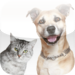 Pet Lovers